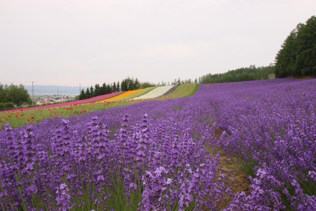 Hotel Furano Shiyuirin à Kamifurano Extérieur photo
